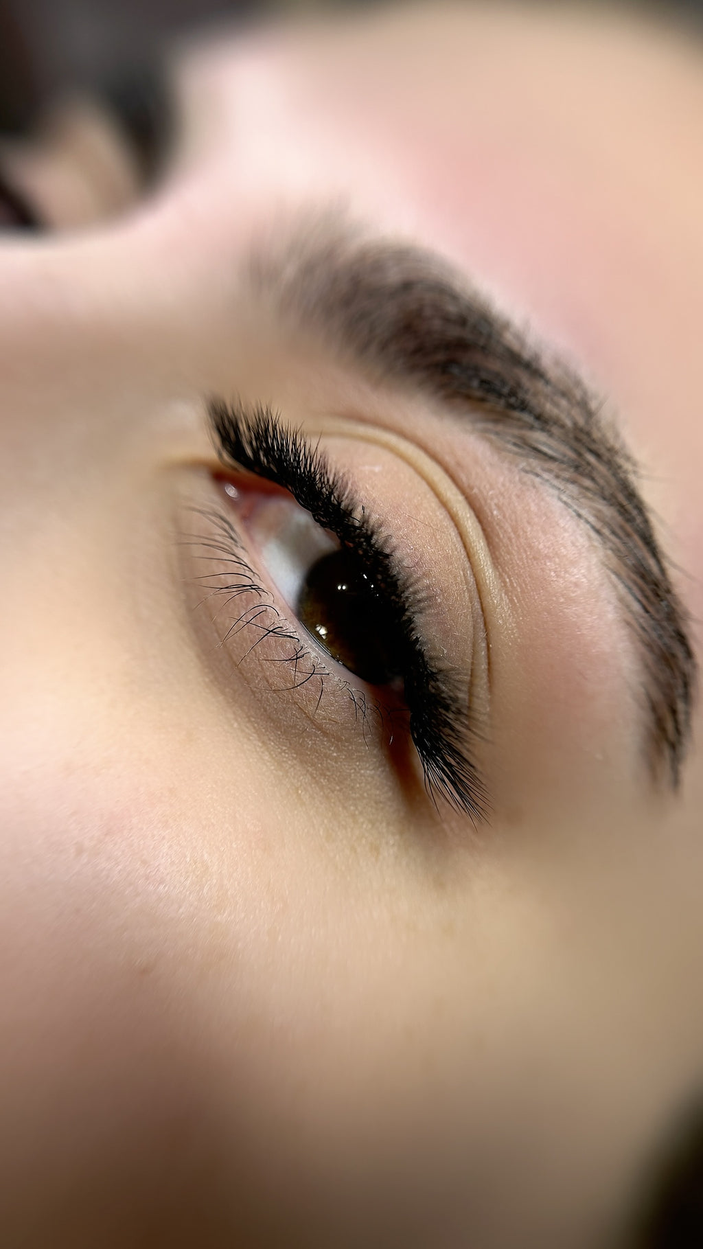 5D W TECHNO FIBER LASHES ~ LASH PAD 16 LINES